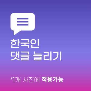 인스타 댓글 늘리기 (한국인)